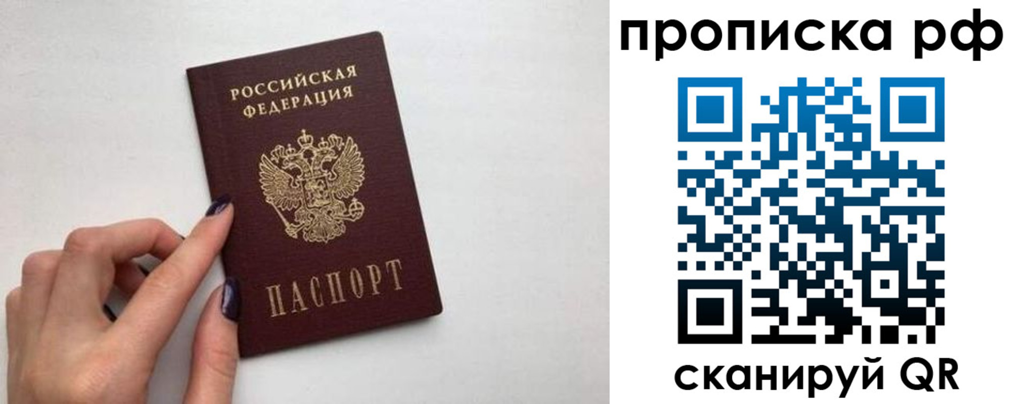 прописка в квартире в Нововоронеже